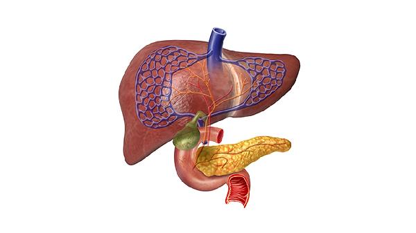 味觉是五脏六腑的“风向标”？不同滋味对应着不同疾病！